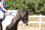 SBM_002514