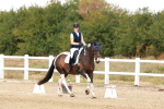 SBM_018682