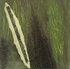 Bog Earth 4, 15cm x 15cm