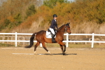 SBM_008824
