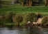 Egypt Street and River 3 2jpg