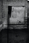 Tom Sandberg