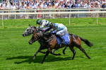 270626-Race 3-Naanas Shadow-0219