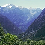 White Mountains
