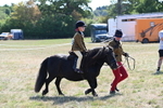 WJ6_7716