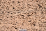 230511A-095802-00155
