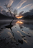 Lone tree, Llyn Padarn, Llanberis, North Wales