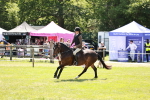 SBM_16392