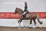 BPP_0675