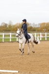 Class 2-11 - CT Intro 3 60cm - DR Intro 3 portfolio