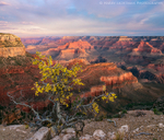 Autumn on the Edge