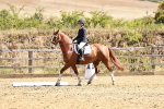 SBM_001651
