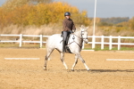 SBM_000917