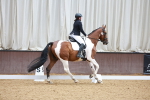 SBM_006009
