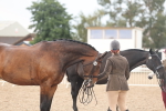 SBM_07868