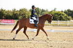 SBM_002381