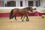 SBM_05651