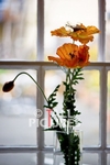 Duke of Normandie Hotel-133