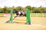 SBM_000376