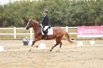SBM_001147