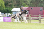 SBM_17352