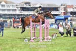 BPP_6989