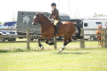 SBM_07705
