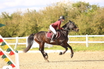 SBM_003979