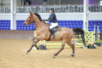 SBM_009684