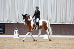 SBM_001666
