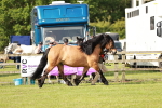 SBM_00867