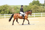 SBM_010045