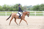 SBM_006577