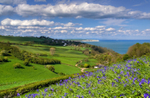 z2083 View over Luccombe