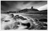 Dunstanburgh mono  
