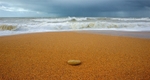 Storm Wave, Chesil Beach,Burton Bradstock,Dorset EDC240
