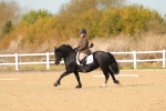 SBM_010461