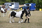 WJ6_6474