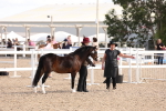 SBM_15025