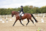 SBM_005613