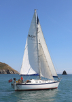 140729 SCOT FREE GBR1443T WT7A1838