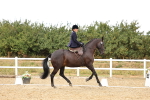 SBM_004629