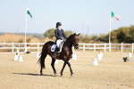 SBM_016892
