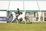 SBM_20011