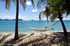 Chillin in the Caribbean II