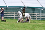 SBM_13979