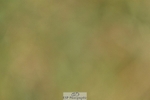 260730-120627-00602