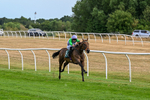 040826-Race 5-Halimede-5439