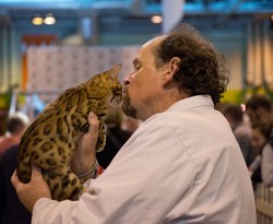 40th Supreme Cat Show NEC Birmingham portfolio