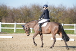 SBM_004351